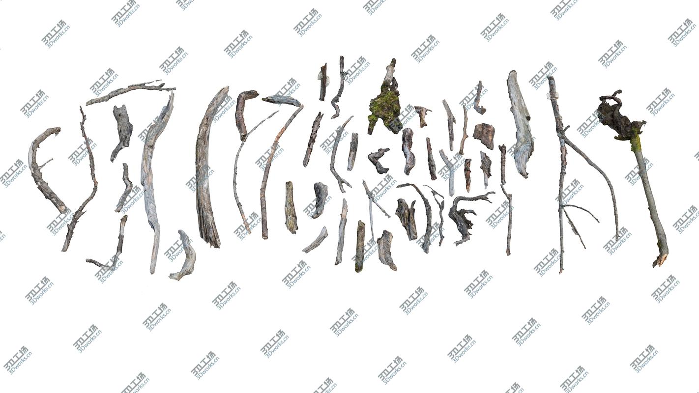 images/goods_img/202104093/Wood Branch Pack 45/5.jpg